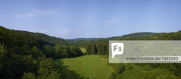 Waldlichtung mit Telefonmästen bei Daaden im Westerwald  Rheinland-Pfalz  Deutschland