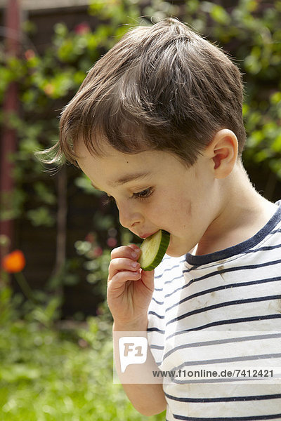 Boy eating cucumber outdoors