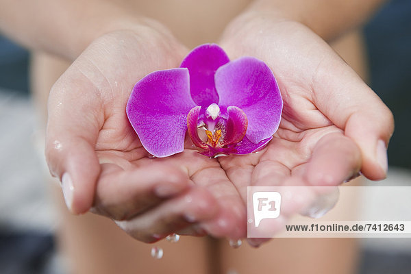 Woman cupping orchid in hands