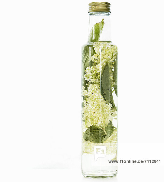 Flasche Kräuter-Olivenöl