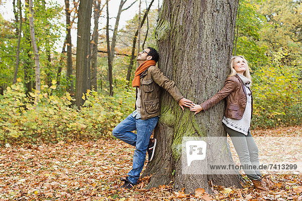 Paar hält Hände um den Baum herum