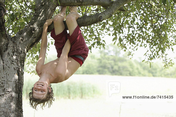 Boy (10-11) hanging upside down on tree branch