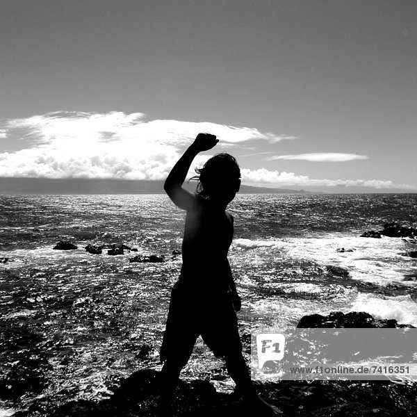 Silhouette  Küste  weiß  schwarz  Maui