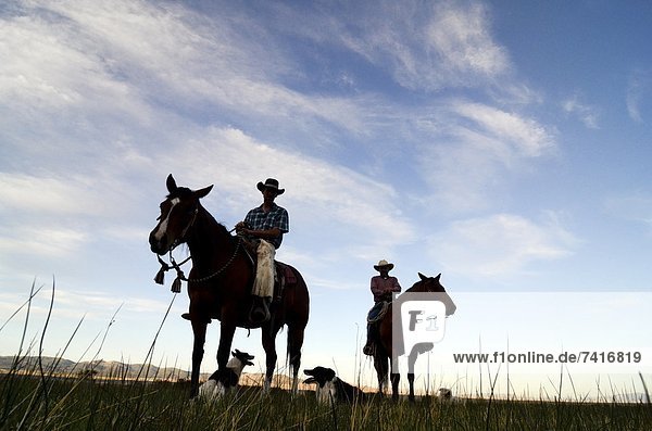 Two cowboys and their dogs are silhouetted at sunset on the Dalton Ranch in the Clover Valley  NV.