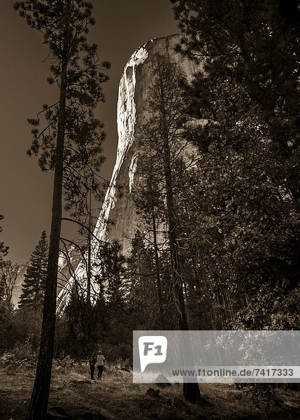 sepia getont  Yosemite Nationalpark
