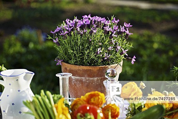 Sommerlicher Tisch im Freien mit frischem Gemüse & Blumen