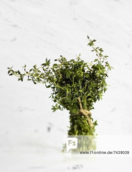 Bunch of Thyme Tied with Twine