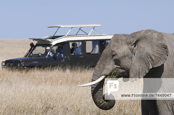 Touristen auf Safari  Serengeti Nationalpark  Tansania  Afrika