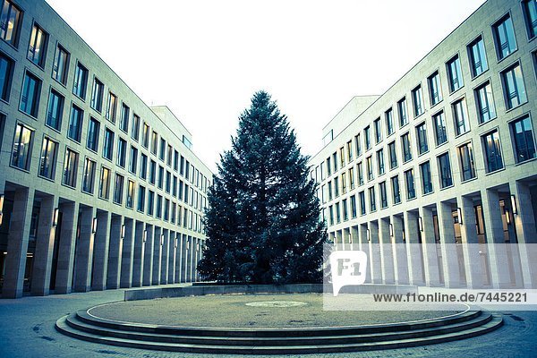Bürogebäude mit Weihnachtsbaum  Frankfurt am Main  Deutschland