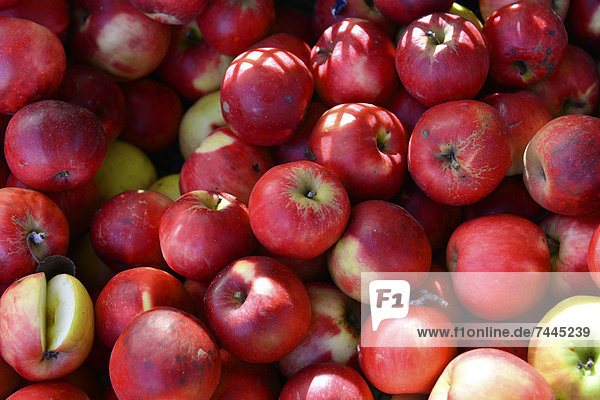 Apples on a market