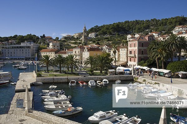The old harbour at the medieval city of Hvar  island of Hvar  Dalmatia  Croatia  Europe