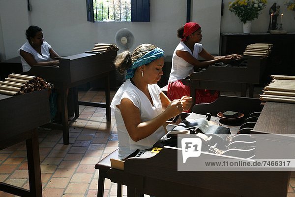 Frau  Produktion  Zigarre  Fabrikgebäude  Bahia  Brasilien  Südamerika