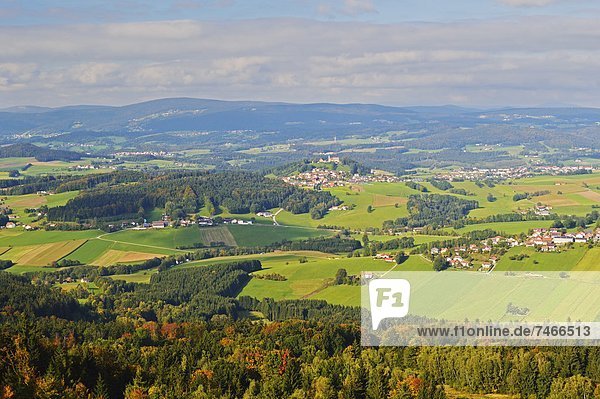 Europa  Wald  Ansicht  Bayern  bayerisch  Deutschland
