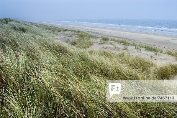 Curracloe Strand  County Wexford  Leinster  Irland (Eire)  Europa