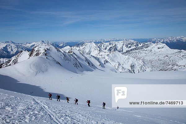 Ski touring in the Alps  ascent to Punta San Matteo  on the border of Lombardia and Trentino-Alto Adige  Italy  Europe