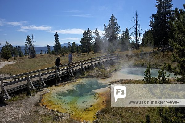 Vereinigte Staaten von Amerika USA sehen Tourist Nordamerika Hasenglöckchen Endymion nonscriptus UNESCO-Welterbe Yellowstone Nationalpark Seismograph Wyoming