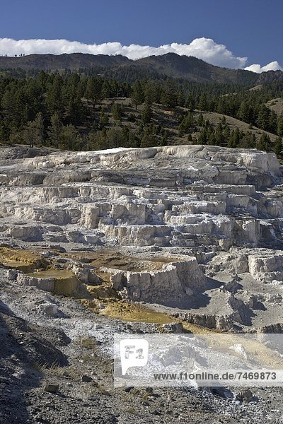 Vereinigte Staaten von Amerika  USA  Nordamerika  UNESCO-Welterbe  Yellowstone Nationalpark  Wyoming