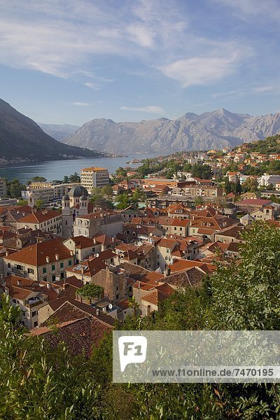 Europa UNESCO-Welterbe Kotor Montenegro