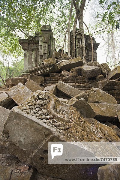 Südostasien  UNESCO-Welterbe  Vietnam  Angkor  Asien  Kambodscha  Siem Reap  Ta Prohm Tempel