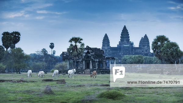 Temple Complex of Angkor Wat  Angkor  UNESCO World Heritage Site  Siem Reap  Cambodia  Indochina  Southeast Asia  Asia