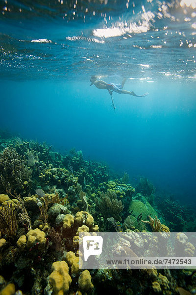 Man snorkeling on tropical coral reef