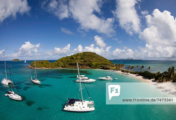 Sailboats in tropical water