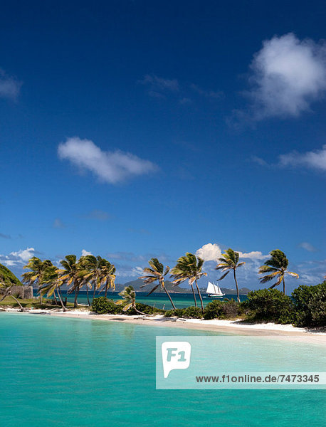 Palm trees on sandbar in tropical water