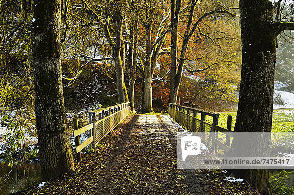 Eschach River Valley Black Forest Black Forest Schwarzwald-Baar Baden-Wurttemberg Germany