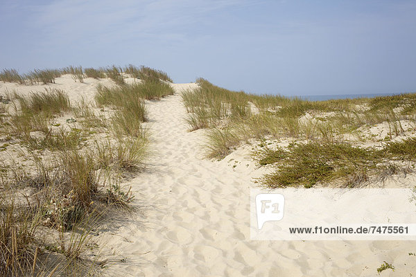 Frankreich Aquitanien Gironde