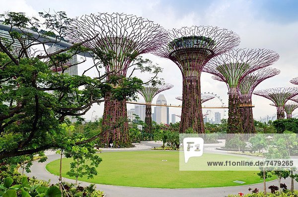 Hintergrund Jachthafen Sand Garten Bucht Hain Singapur