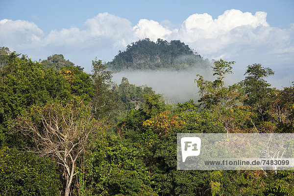 Landschaft im Nebel  Wald  Dschungel  Nordthailand  Thailand  Asien