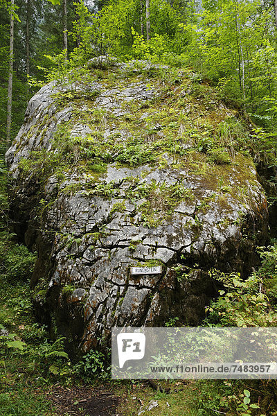 Runenstein im Echerntal bei Hallstatt  Salzkammergut  Ober÷sterreich  Ísterreich  Europa