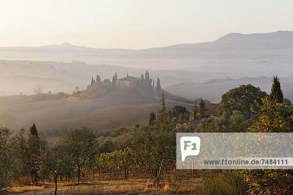 Europa Italien UNESCO-Welterbe Val d'Orcia Morgenstimmung Provinz Siena