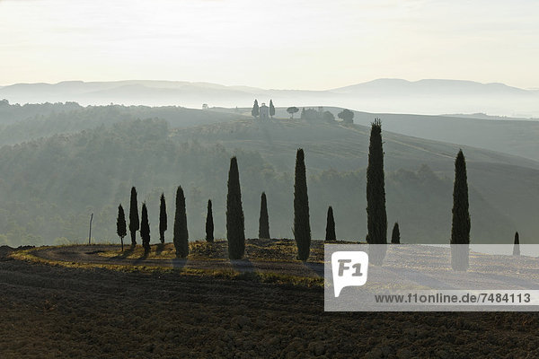 Morgenstimmung Hügellandschaft im Herbst Blick auf Kapelle Vitaleta Val dÆOrcia Orcia-Tal UNESCO-Weltkulturerbe Region Toskana Provinz Siena Italien Europa