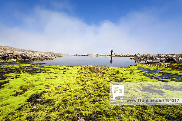 Junge Frau  Spiegelung in einem See  Hornstrandir  Westfjorde  Westisland  Island  Europa