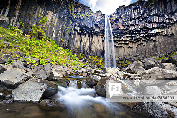 Svartifoss waterfall  Skaftafell  South Iceland  Iceland  Europe