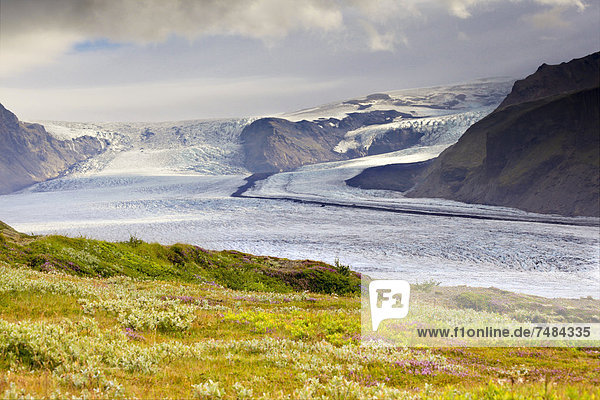 Gletscherzunge Vatnaj÷kull  Skaftafell  Südisland  Island  Europa