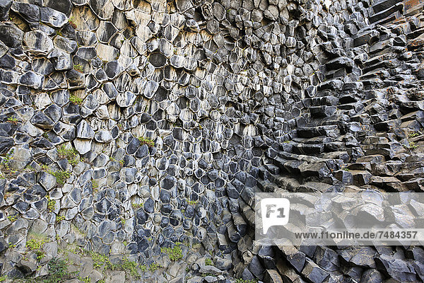 Hexagonal basalt columns  volcanic rock  Asbyrgi  Iceland  Europe