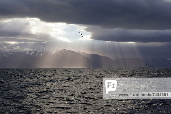Sonnenstrahlen durch Gewitterwolken  Island  Europa