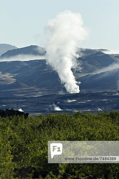 Geothermalgebiet Hellisheidi  Island  Europa