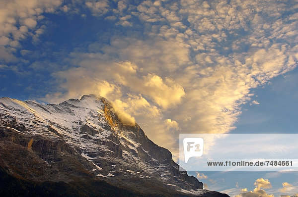 Die Eiger-Nordwand bei Sonnenuntergang mit Wolken  Grindelwald  Alpen  Schweiz  Europa