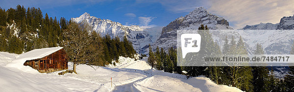 Berghütte im Winter  hinten das Wetterhorn  Grindelwald  Schweizer Alpen  Schweiz  Europa