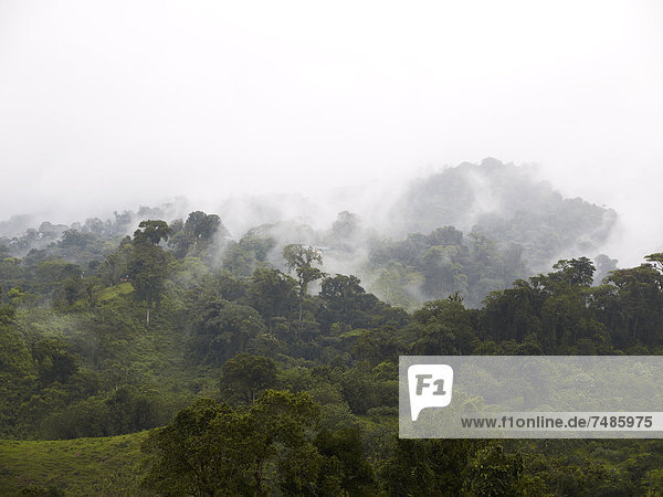Mittelamerika  Costa Rica  Blick auf den Vulkan Arenal Nationalpark