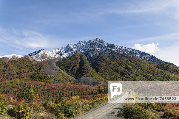 USA  Alaska  Blick auf den Denali Highway im Herbst
