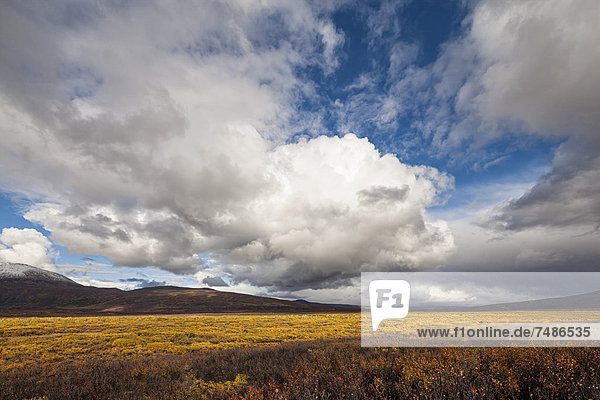 USA  Alaska  Landscape along Denali Highway in autumn with Alaska Range