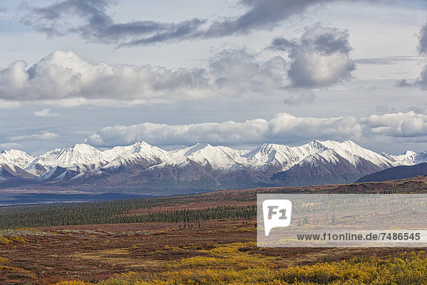 USA Alaska Landscape along Denali Highway in autumn with Alaska Range