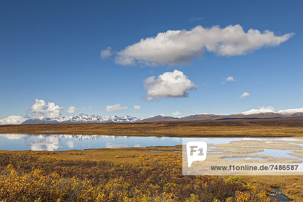 USA,  Alaska,  Blick auf die Landschaft im Herbst,  Alaska Range im Hintergrund