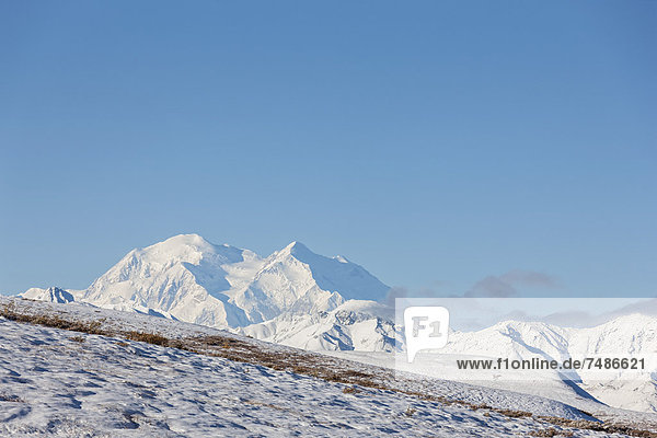USA  Alaska  Blick auf den Mount McKinley im Denali Nationalpark