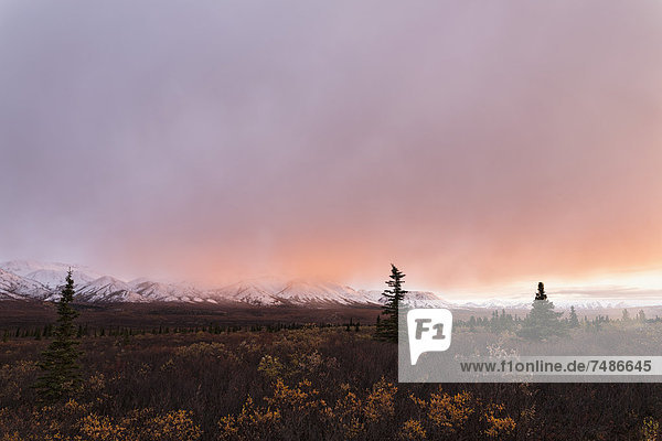 USA  Alaska  Blick auf die Landschaft im Denali Nationalpark