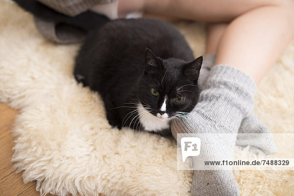Junge Frau mit auf Teppich liegender Katze